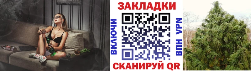 Виды наркоты Новомосковск Гашиш  Кокаин  Меф  Alpha PVP  Амфетамин  Марихуана 