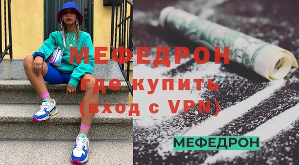 индика Медвежьегорск