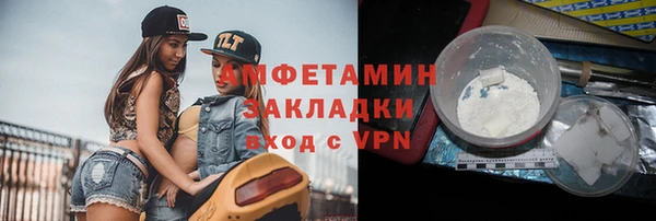 индика Медвежьегорск