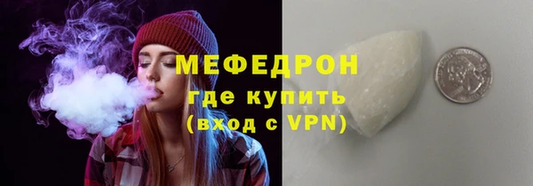 индика Медвежьегорск