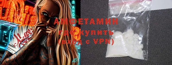 индика Медвежьегорск