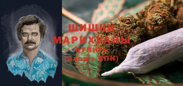индика Медвежьегорск