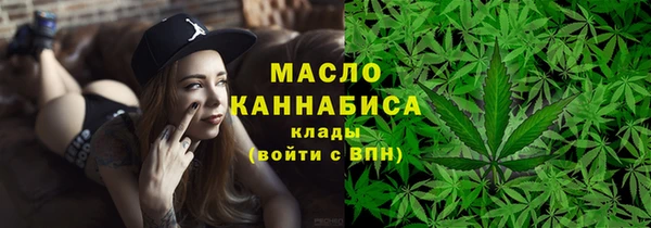 индика Медвежьегорск
