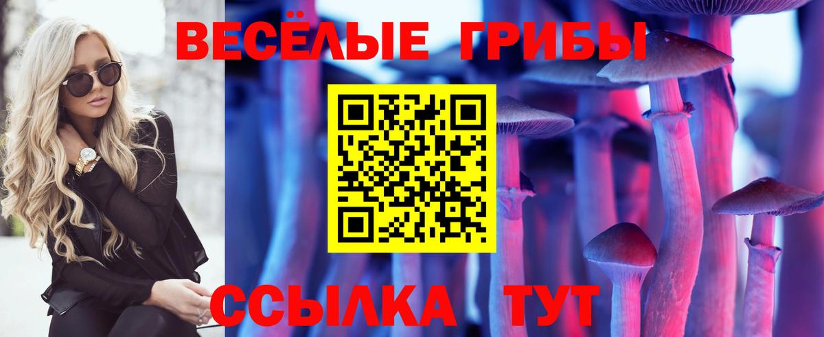 Галлюциногенные грибы Psilocybe  Новомосковск 