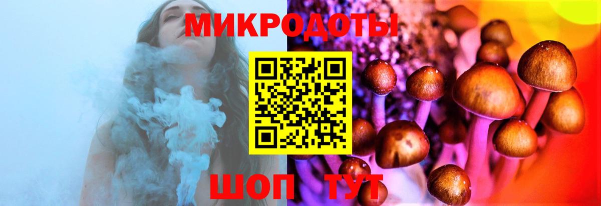 Псилоцибиновые грибы Psilocybine cubensis Новомосковск